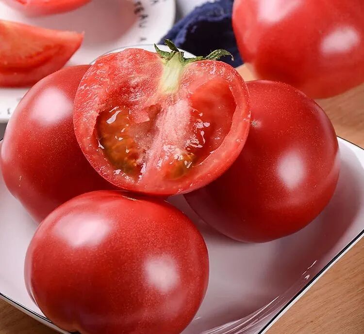 普罗旺斯西红柿简介展板_普罗旺斯西红柿简介_普罗旺斯西红柿简介产地