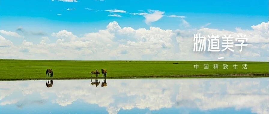六月，要去草原打个滚