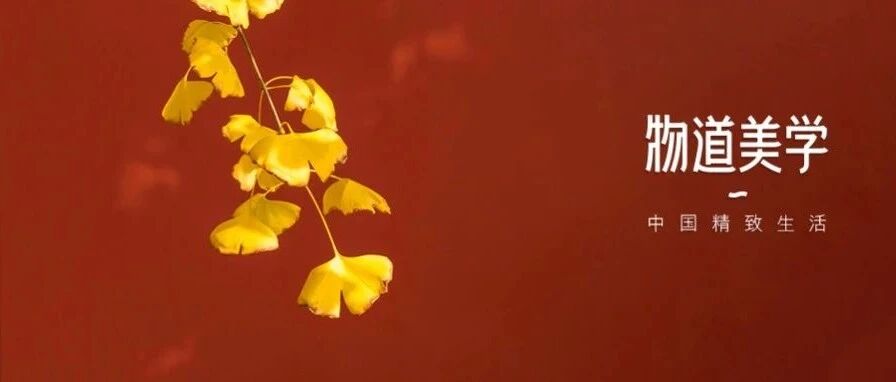 晚秋杏黄，人间幸好