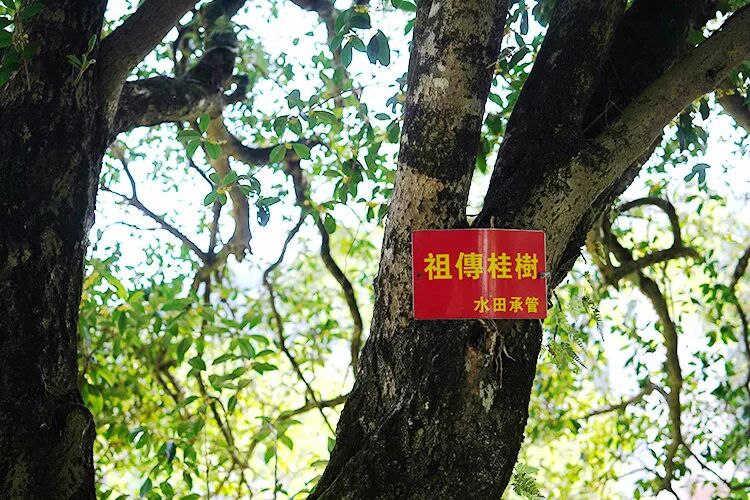 ���̲辪�ޣ��ȿ�����ͷ���úȻ�����Ҵ��������һ�����