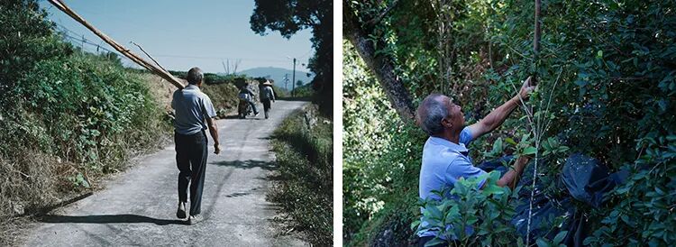 ���̲辪�ޣ��ȿ�����ͷ���úȻ�����Ҵ��������һ�����