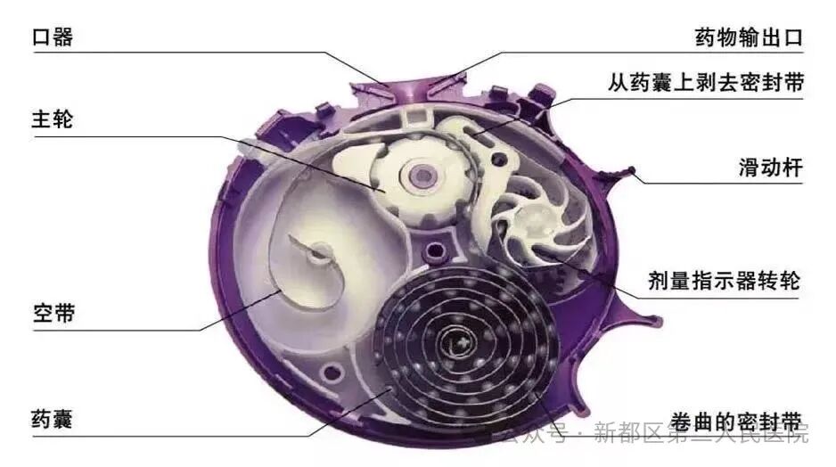 新呼泰怎么用【新二医护士说】第四十八期：正确用药  “吸”迎健康_https://www.jmylbn.com_新闻资讯_第6张