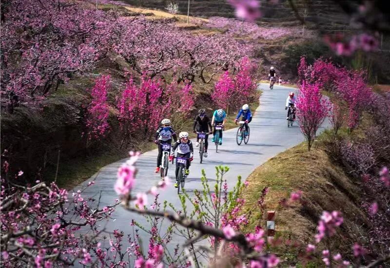 4月2日!山东沂水(泉庄)桃花艺术节盛大开幕,更多精彩抢先看!