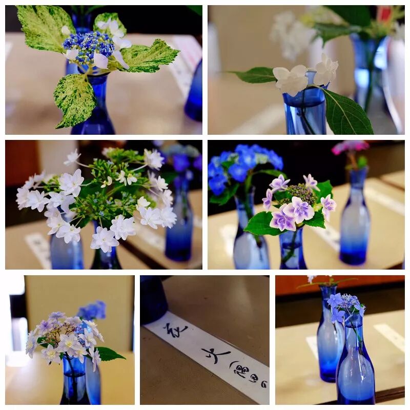 賞花正當時 東京郊外 紫陽花開 物質生活 微文庫