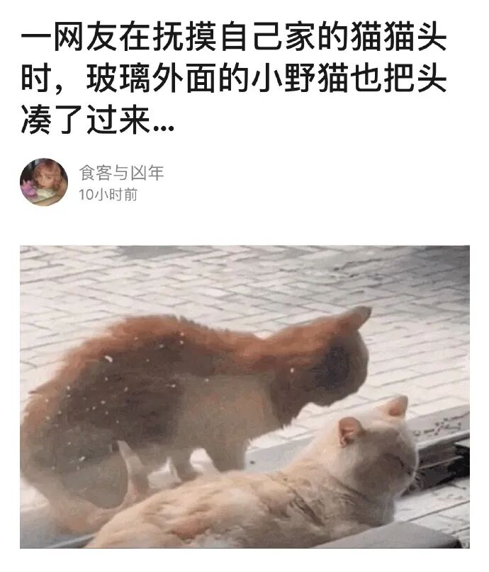 【爆笑】“杨幂魏大勋被拍到疑似同居？”哈哈哈哈沙雕网友评论一针见血（组图） - 22
