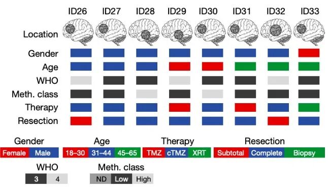 ​三句话读懂一篇CNS，伟哥能延长寿命，昆虫偷窃植物基因，基因治疗预防肿瘤转移，...