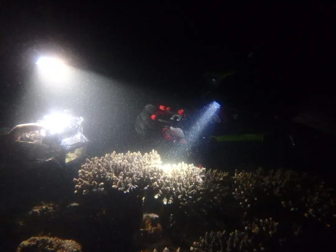 640?wx_fmt=jpeg&wxfrom=5&wx_lazy=1&wx_co=1