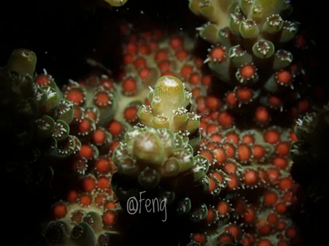 640?wx_fmt=jpeg&wxfrom=5&wx_lazy=1&wx_co=1