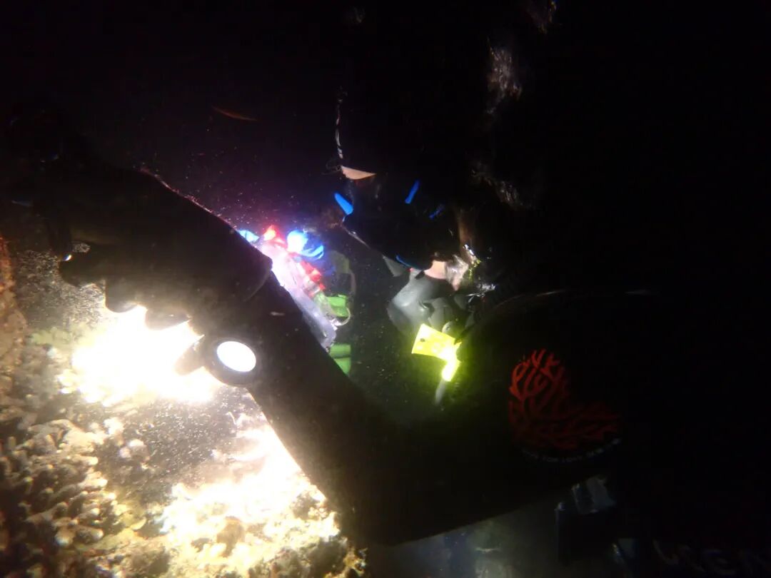 640?wx_fmt=jpeg&wxfrom=5&wx_lazy=1&wx_co=1