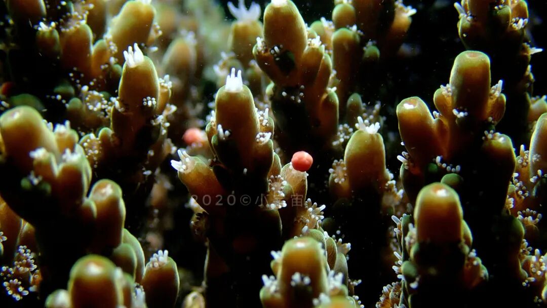 640?wx_fmt=jpeg&wxfrom=5&wx_lazy=1&wx_co=1