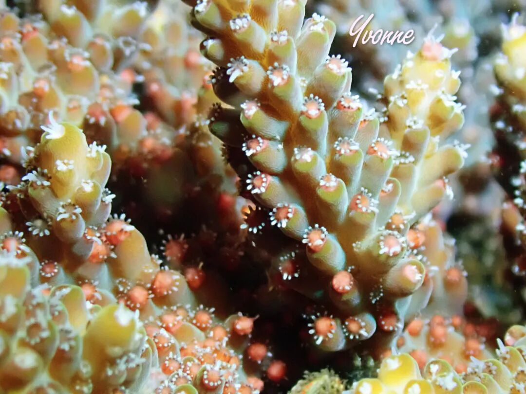 640?wx_fmt=jpeg&wxfrom=5&wx_lazy=1&wx_co=1