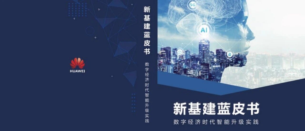 新基建路上的感悟：《蓝皮书》布道，智能体破局