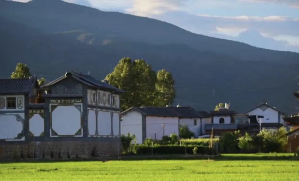 雲旅遊從直播種草，走向雜草叢生 旅遊 第1張