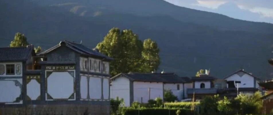 云旅游从直播种草，走向杂草丛生