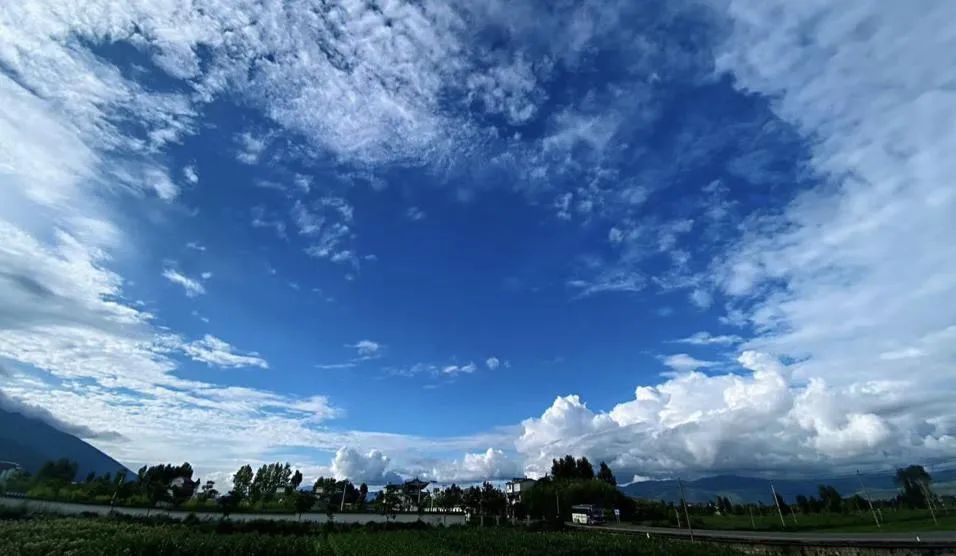 雲旅遊從直播種草，走向雜草叢生 旅遊 第6張