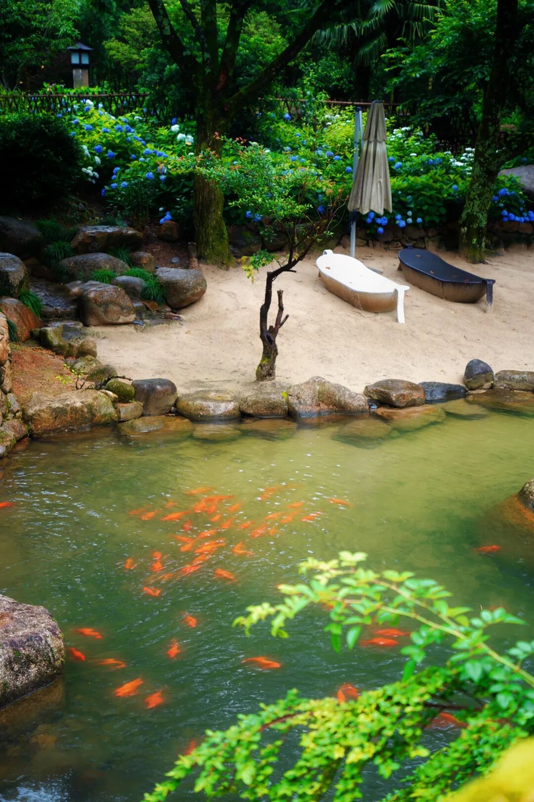 夏天的三清山，感受扑面而来的美好（附:游玩攻略）