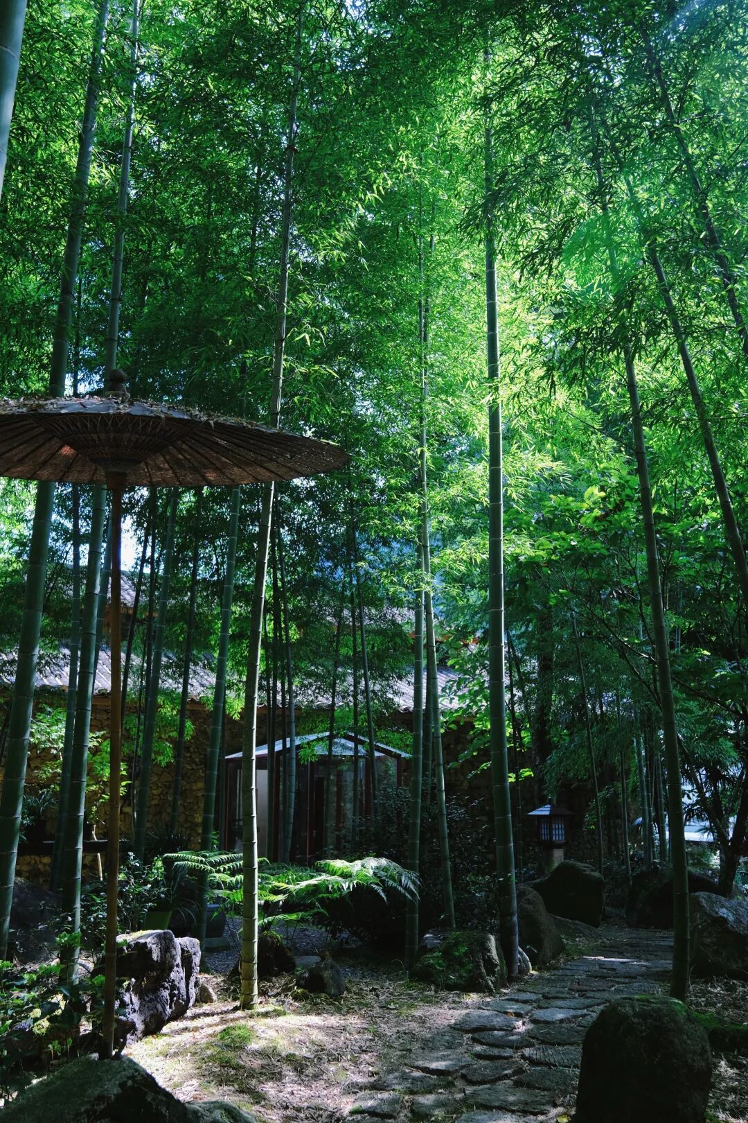 夏天的三清山，感受扑面而来的美好（附:游玩攻略）