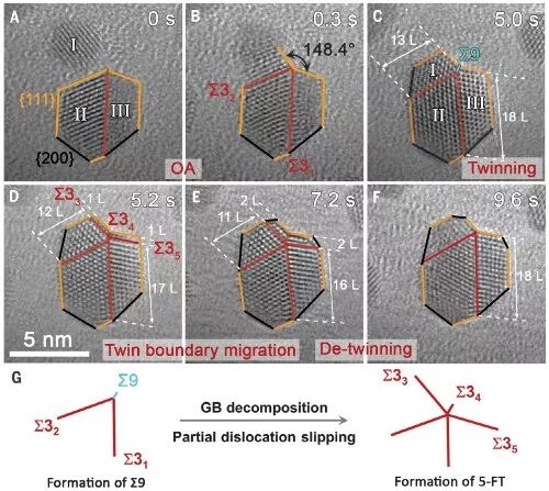 精彩！2020年金属材料领域，15篇《Nature》、《Science》！的图1