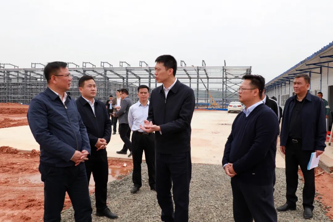 汪东明到苍梧县调研一季度经济稳增长工作和重大项目建设工作