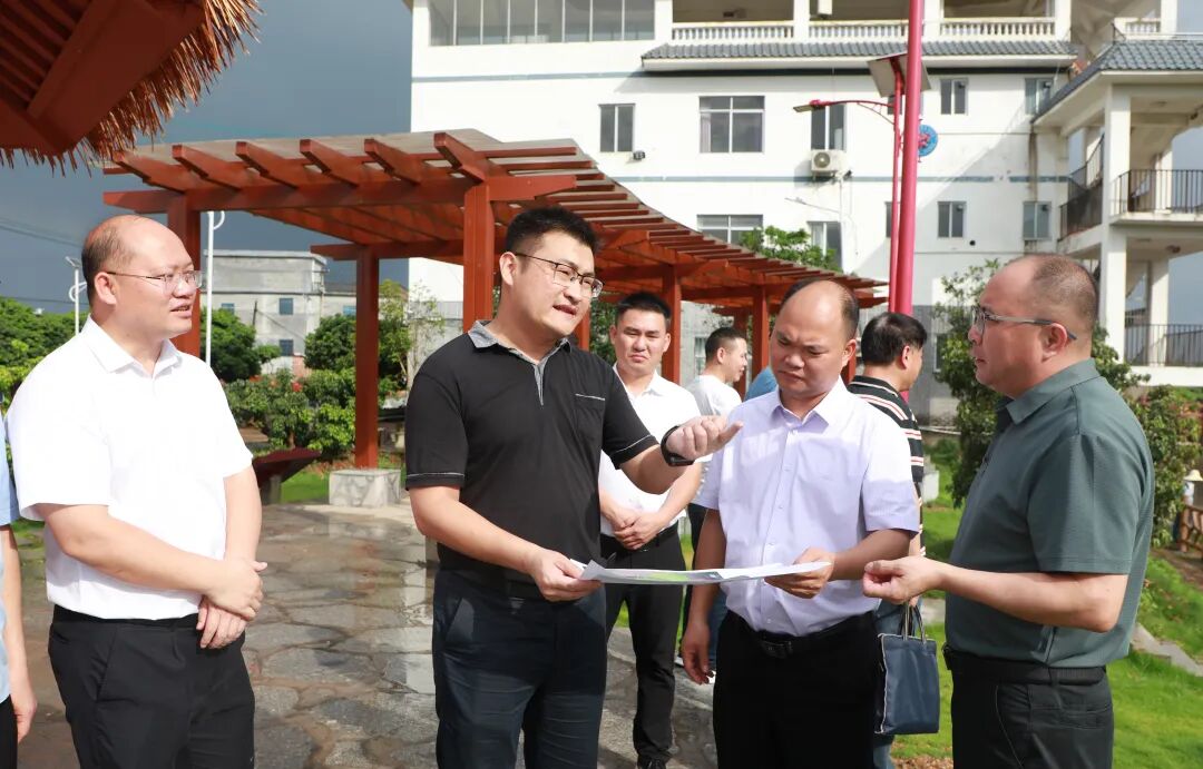 马士成到沙头镇调研迟熟荔枝产业发展情况 - 苍梧要闻 - 广西梧州苍梧