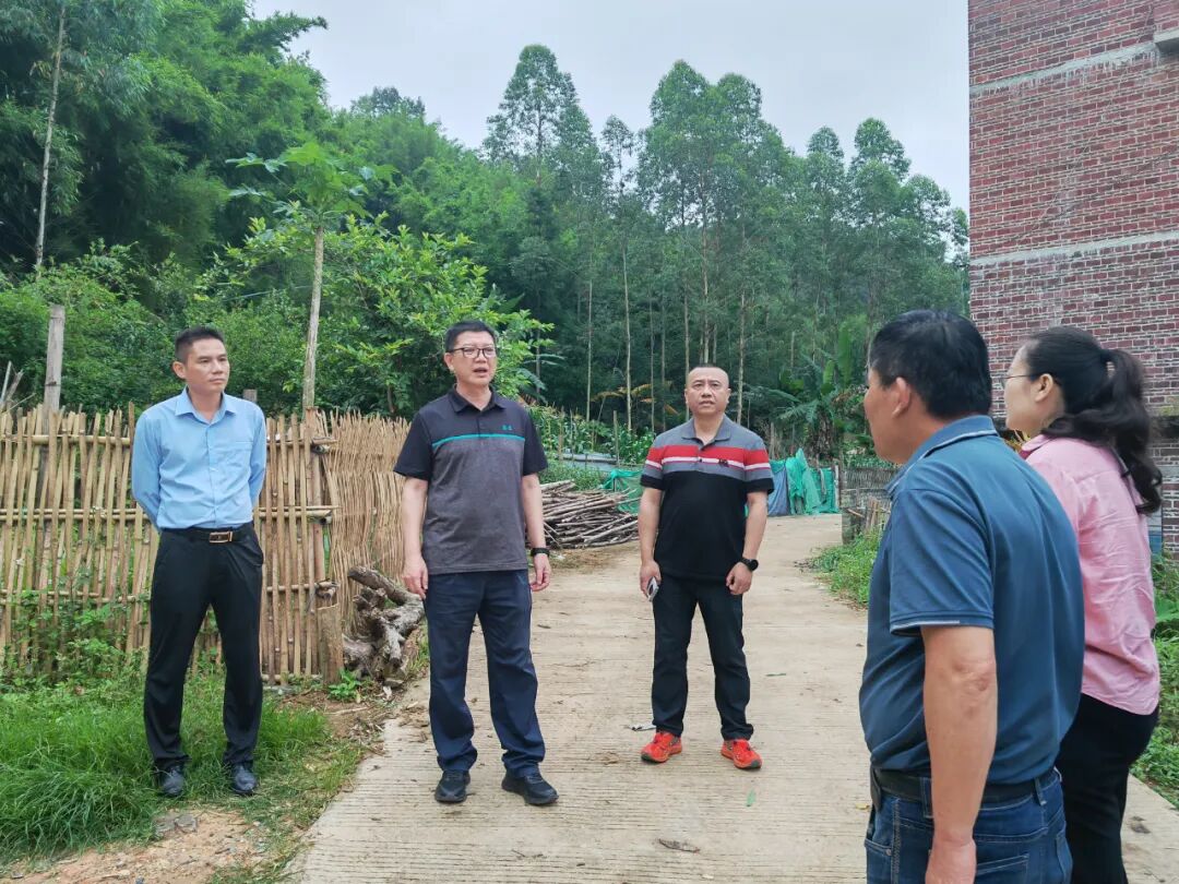 孔斌调研防汛,地质灾害点防治工作