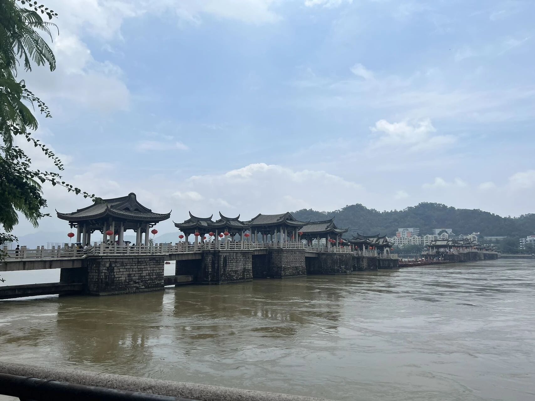 青橄榄书房系列