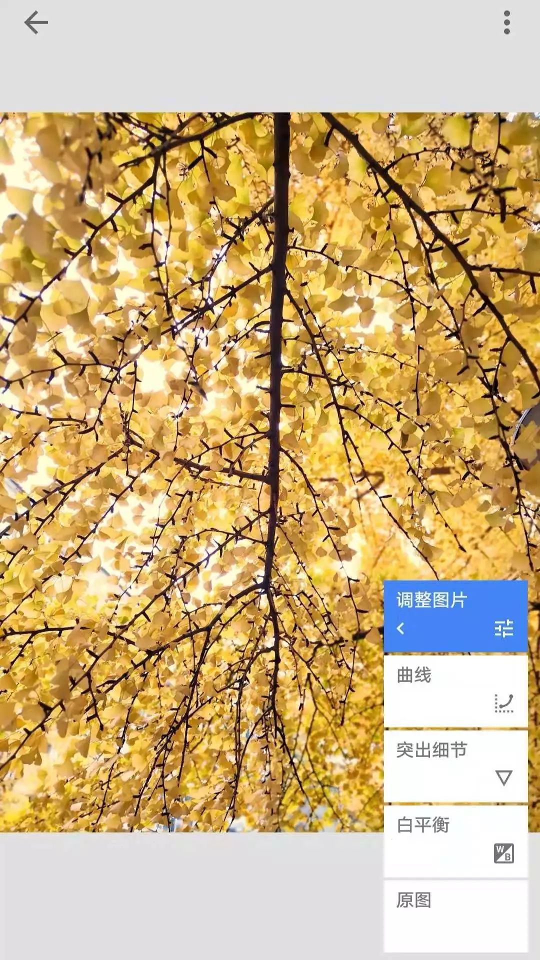 手機修圖 | 如何20秒調出秋天銀杏的黃色 | Snapseed使用方法 科技 第6張