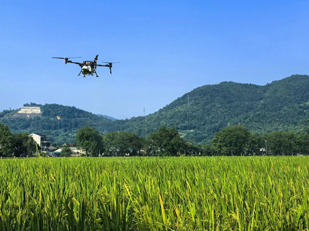 2026低空产业赛道升级：无人机多领域落地，职业化人才迎来就业红利