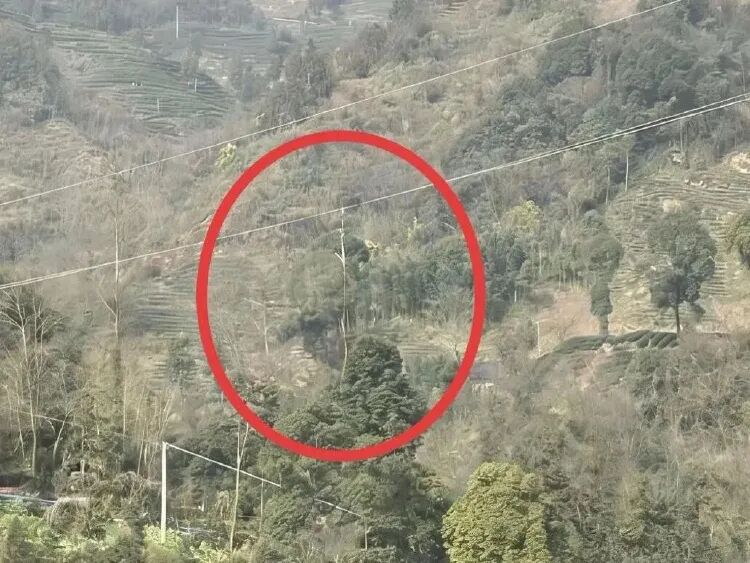 不登记就变”砖”，黑飞要拘留：这事跟每个飞手都有关系
