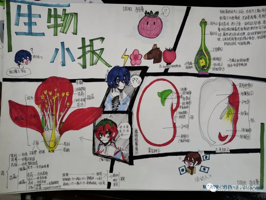 【手工作业】科技手抄报模板、科学手抄报、科技小报、优质种子手抄报