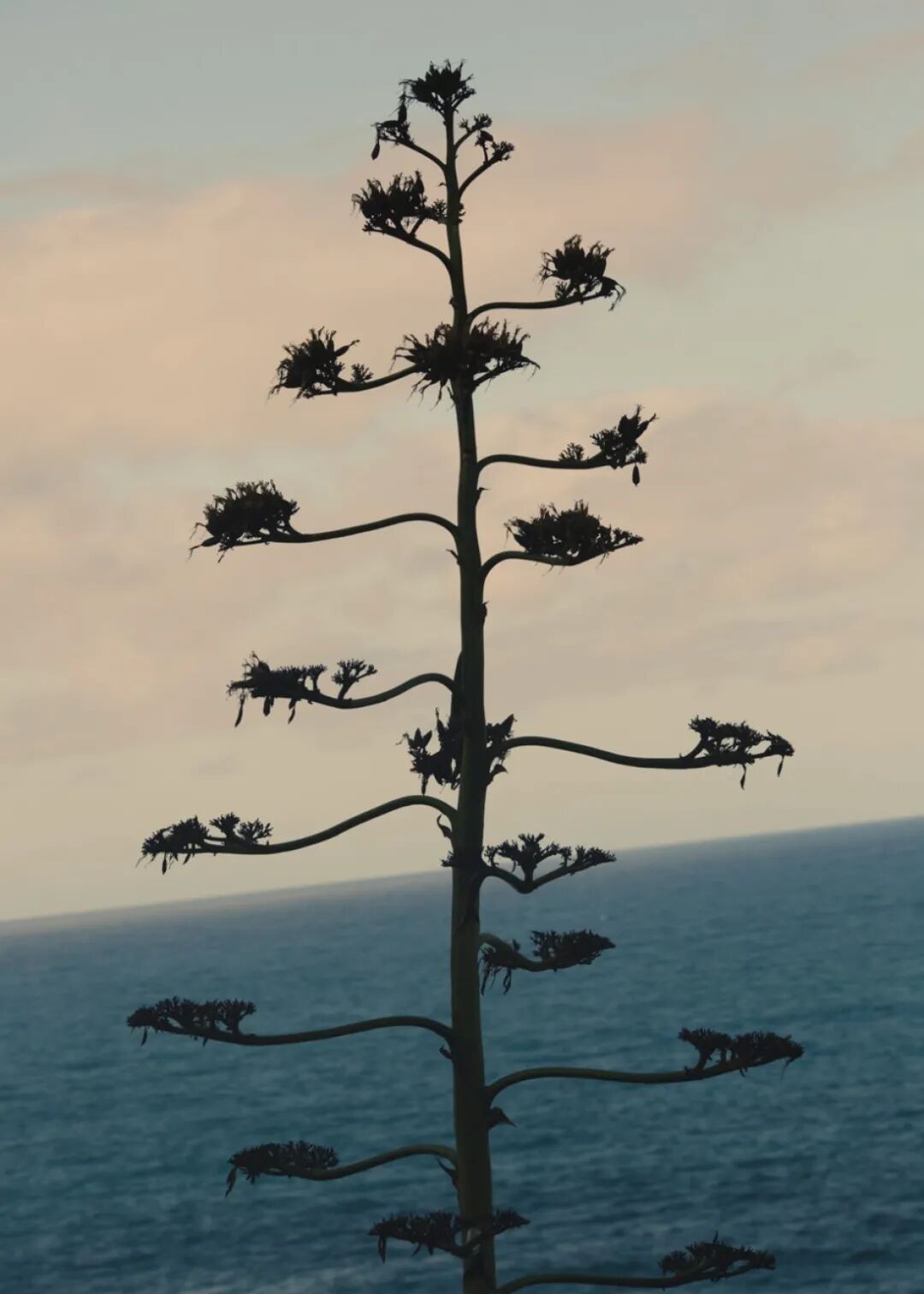 彩虹是什么意思啊_梦见彩虹是什么意思_彩虹sbr是什么意思