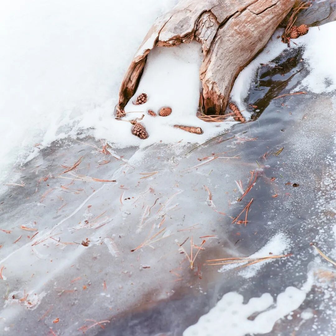 彩虹sbr是什么意思_彩虹是什么意思啊_梦见彩虹是什么意思