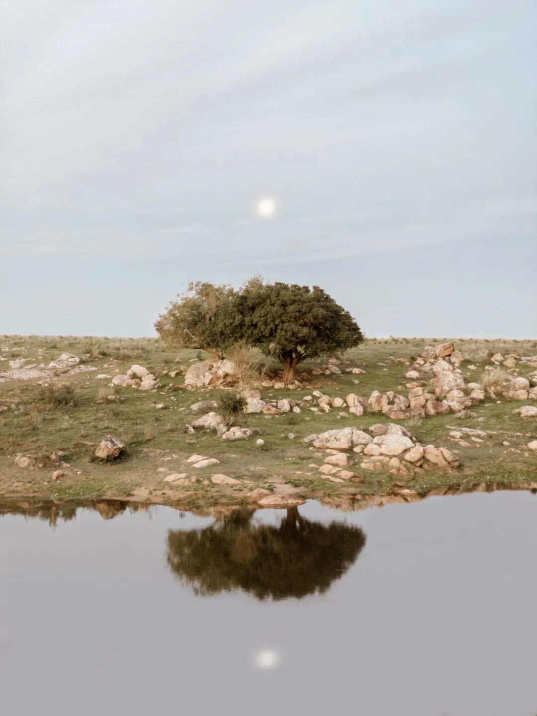 梦见彩虹是什么意思_彩虹sbr是什么意思_彩虹是什么意思啊