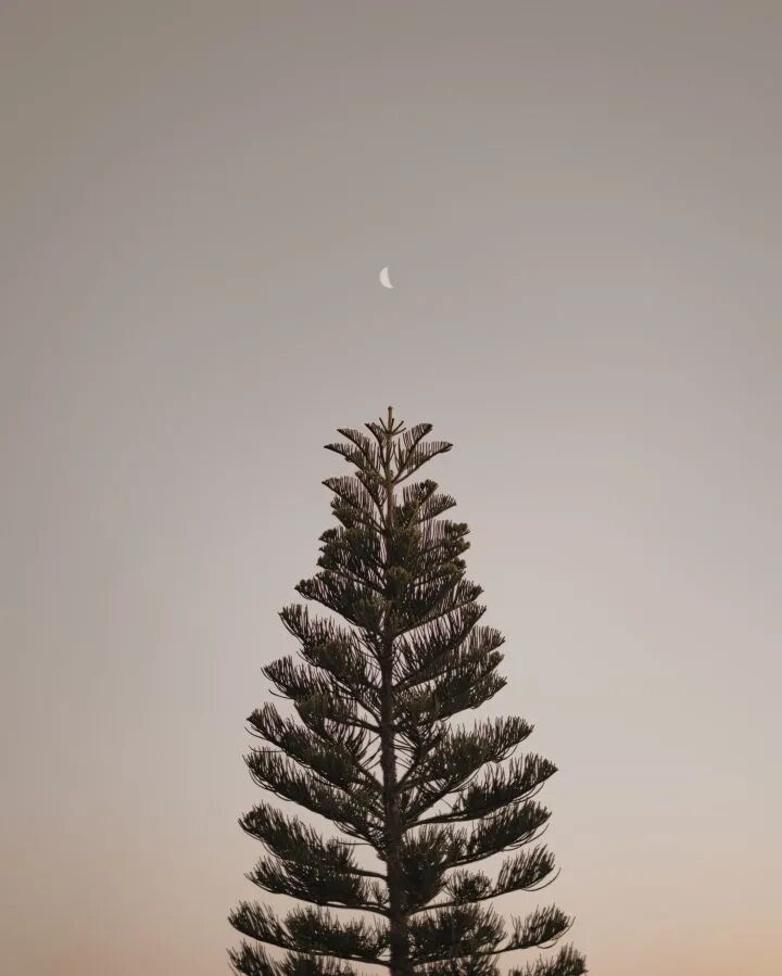 彩虹是什么意思啊_梦见彩虹是什么意思_彩虹sbr是什么意思