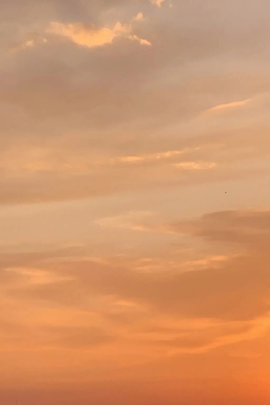 梦见彩虹是什么意思_彩虹sbr是什么意思_彩虹是什么意思啊