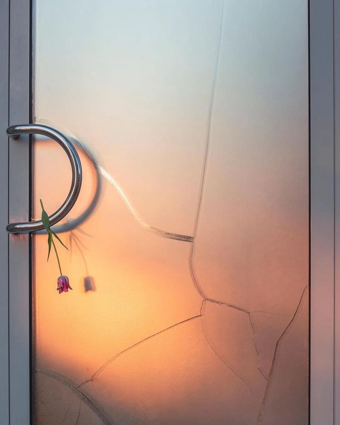 梦见彩虹是什么意思_彩虹是什么意思啊_彩虹sbr是什么意思