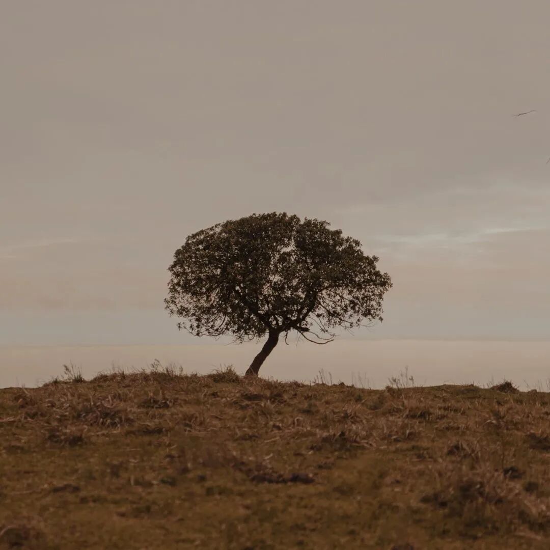梦见彩虹是什么意思_彩虹是什么意思啊_彩虹sbr是什么意思