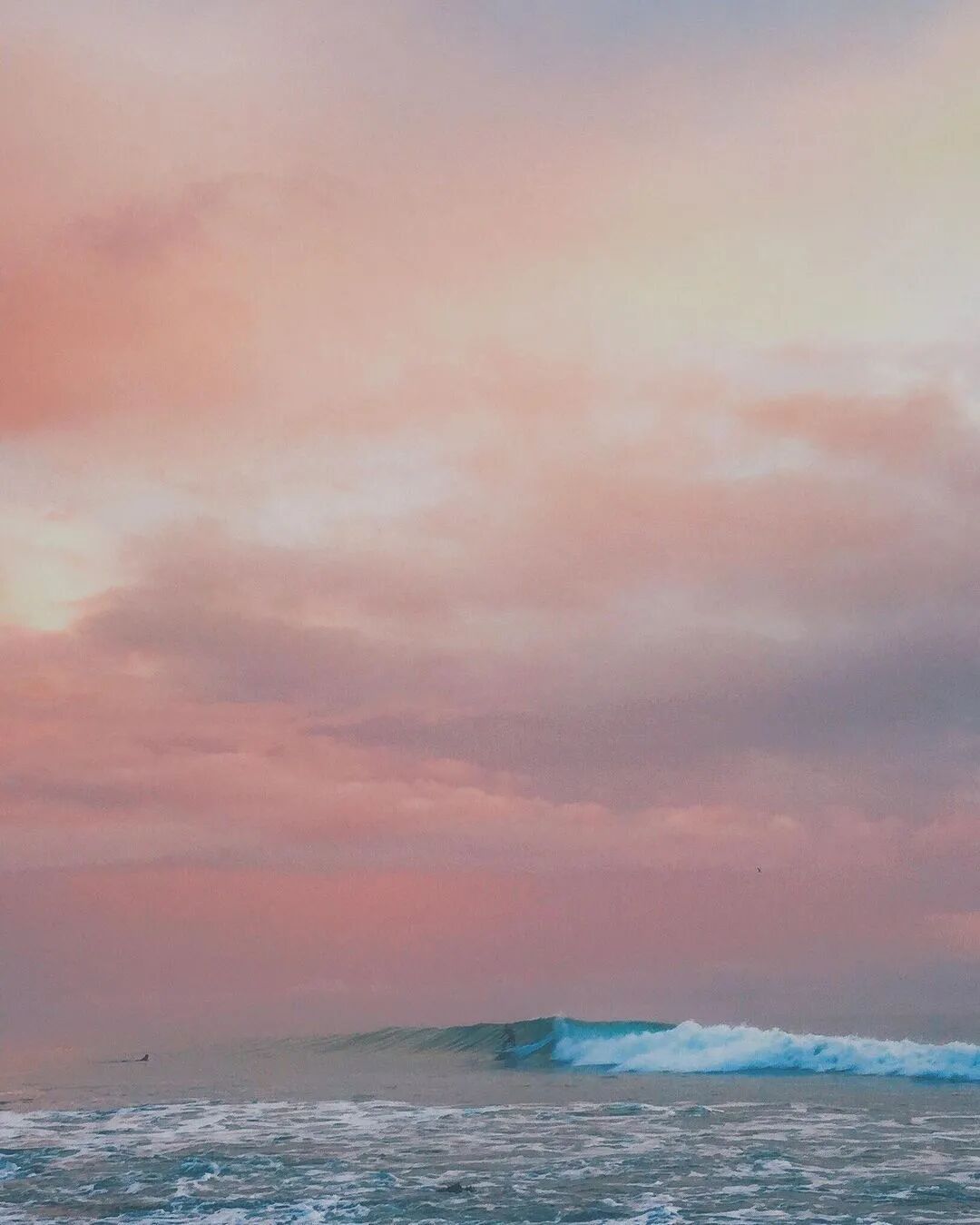 彩虹是什么意思啊_梦见彩虹是什么意思_彩虹sbr是什么意思