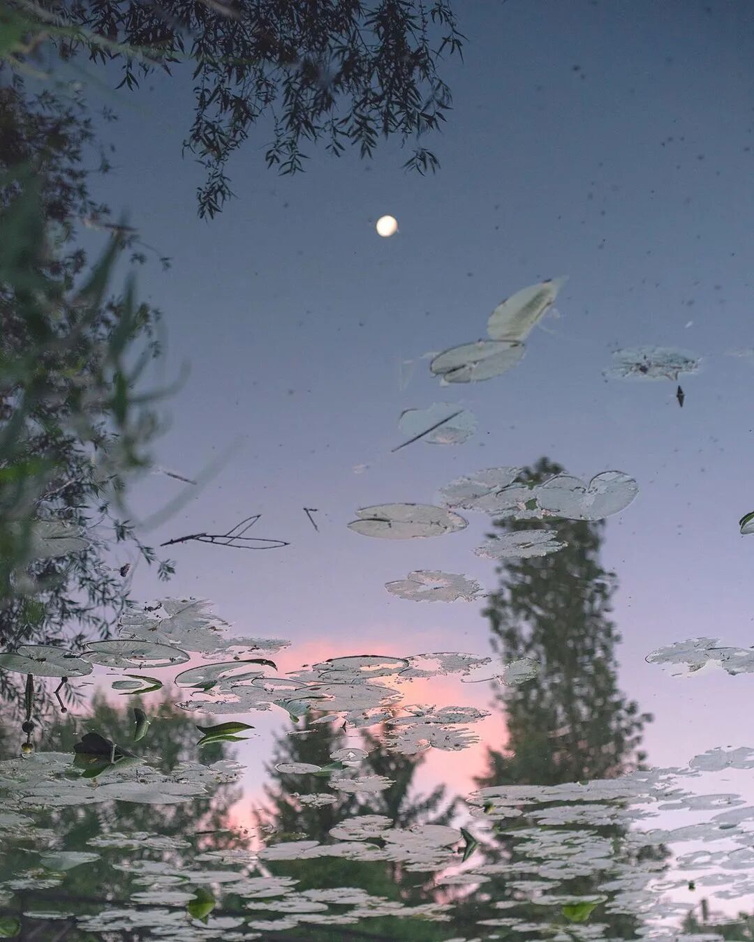 彩虹是什么意思啊_彩虹sbr是什么意思_梦见彩虹是什么意思