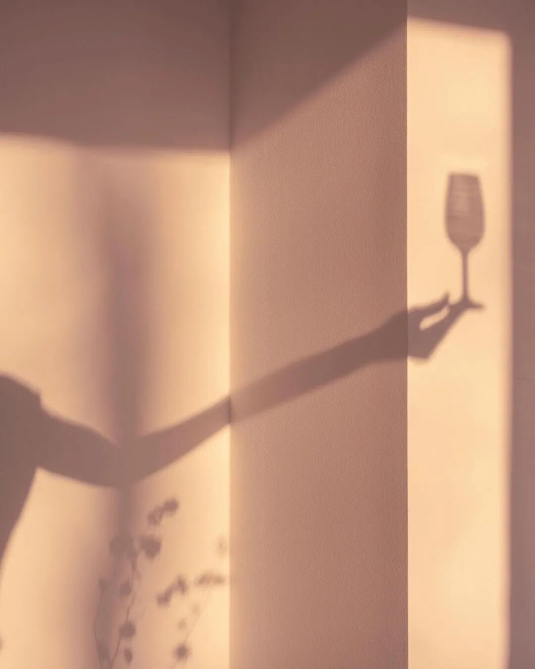 彩虹是什么意思啊_梦见彩虹是什么意思_彩虹sbr是什么意思