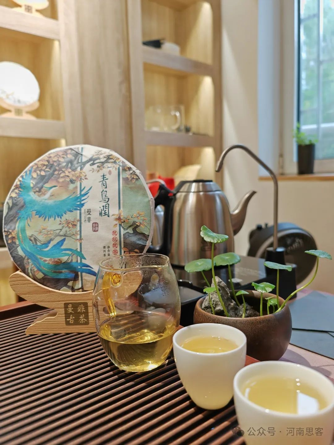 喝生普会伤胃吗？帮你走出普洱茶认识误区｜郭菲【荐读】