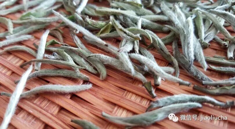 白茶能降血糖，有何科学依据？