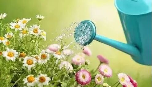 过期的啤酒，用处竟然也这么多？(图3)