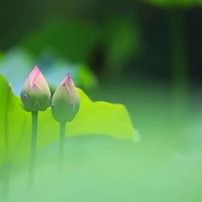 男头|伤感的非主流帅哥头像图片_非主流个性网