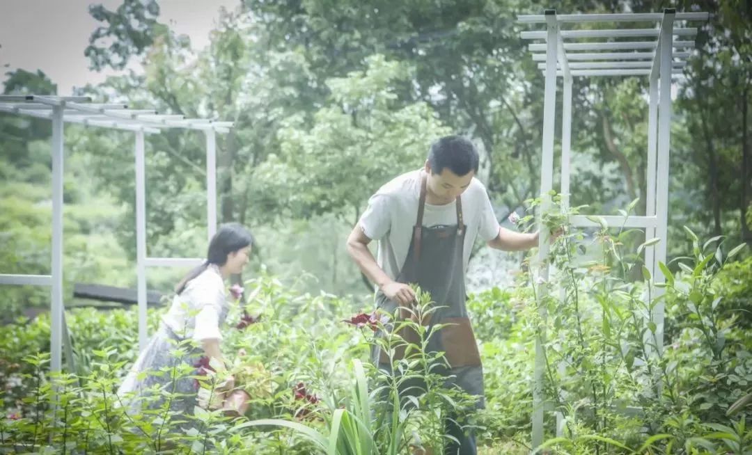 80後小夫妻住進「山里」，坐擁一片湖、一座山和20畝茶田，過上神仙般的生活！ 生活 第11張