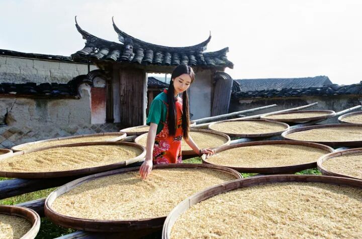 一场灾难，一切看淡