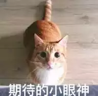 摩福男人展:男生穿衣服怎么搭配颜色比较合适? 摩福男人展:男生穿衣服怎么搭配颜色比较合适?