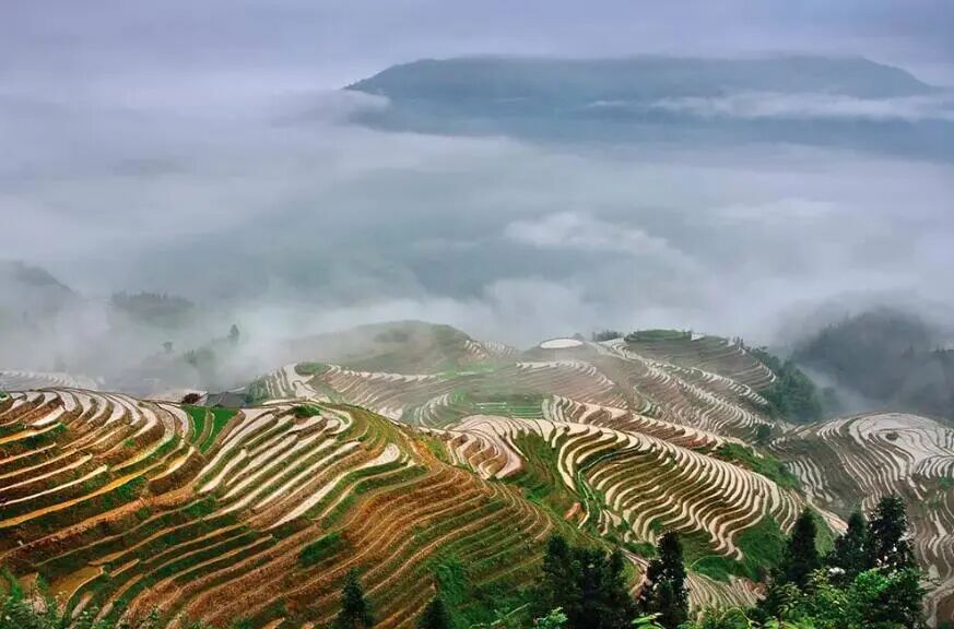深圳山水田园图片 风景_桂林山水风景图片_图片风景 山水