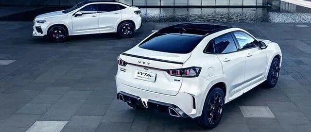 只有奔驰才能叫巴博斯？WEY CAN！