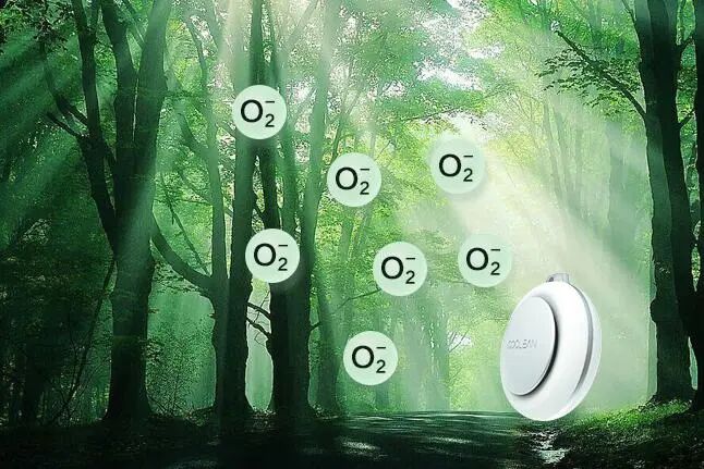 负离子功效受到医学界确认